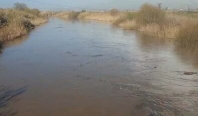 Aydın'da Büyük Menderes Nehri taştı: Tarım arazileri sular altında kaldı