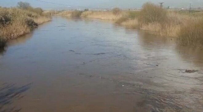 Aydın'da Büyük Menderes Nehri taştı: Tarım arazileri sular altında kaldı