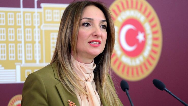 Aylin Nazlıaka: "Devlet, yurttaşına onurlu yaşam koşullarını sağlamak zorundadır"