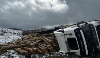 Bolu’da korkutan kaza: Tomruk yüklü tır devrildi!