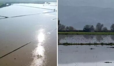 Büyük Menderes Nehri’nde taştı, 2 bin dönüm tarım arazisi sular altında kaldı