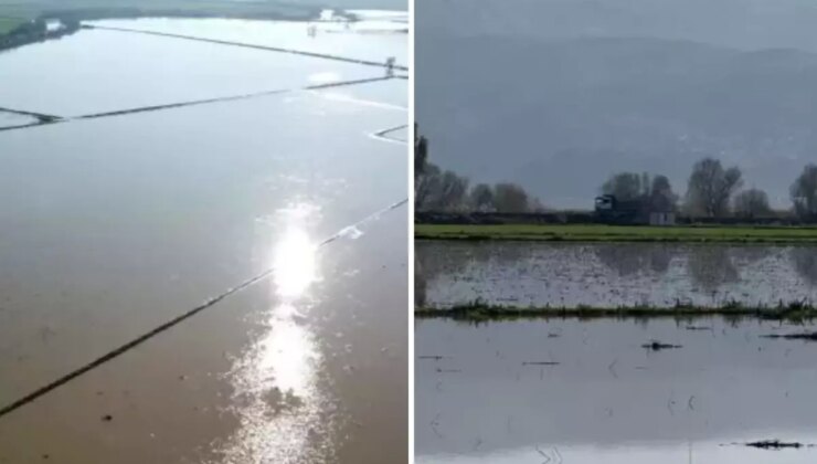 Büyük Menderes Nehri’nde taştı, 2 bin dönüm tarım arazisi sular altında kaldı