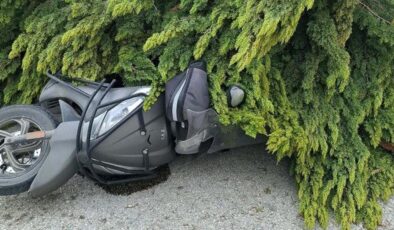 Çanakkale’de fırtınada ağaçlar devrildi, balkon duvarı yıkıldı