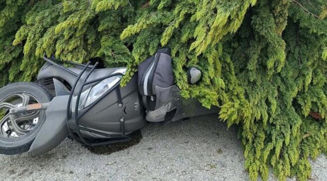 Çanakkale’de fırtınada ağaçlar devrildi, balkon duvarı yıkıldı