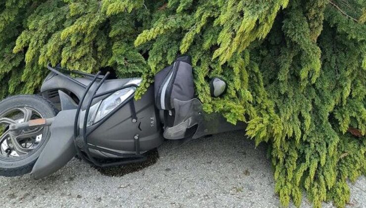 Çanakkale’de fırtınada ağaçlar devrildi, balkon duvarı yıkıldı