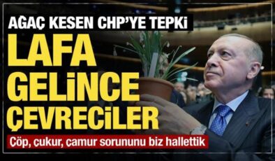 Cumhurbaşkanı Erdoğan’dan ağaç kesen CHP’ye tepki: Lafa gelince çevreciler!