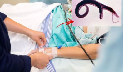 DSÖ’den küresel alarm! Cinsel organlara yerleşen parazit evrim geçirdi, yeni ülkelere yayılabilir