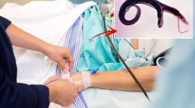 DSÖ’den küresel alarm! Cinsel organlara yerleşen parazit evrim geçirdi, yeni ülkelere yayılabilir