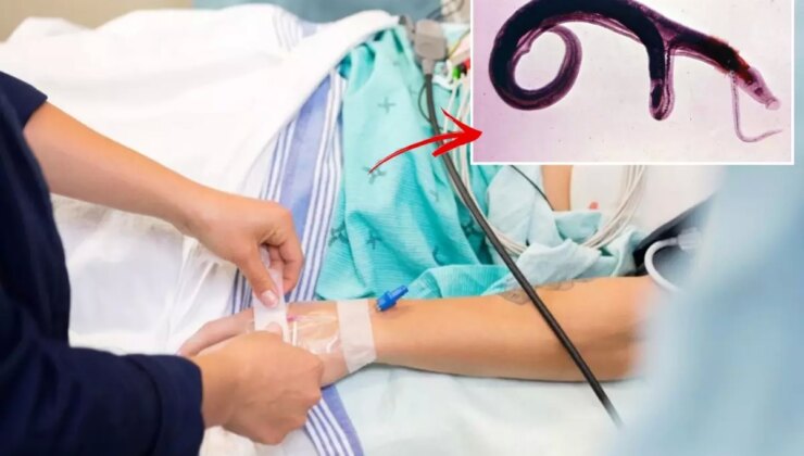 DSÖ’den küresel alarm! Cinsel organlara yerleşen parazit evrim geçirdi, yeni ülkelere yayılabilir