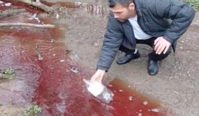 İstanbul’un içme suyunda korkutan manzara: Kırmızı renkte ve köpüklü!