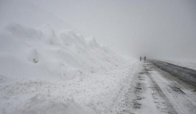 Karla mücadele ekiplerinin üzerine çığ düştü