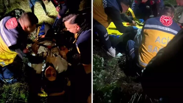 Korkunç olay! 50 metreden düştü, takıldığı ağaçlar hayatını kurtardı