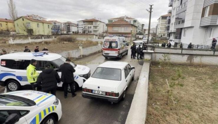 Mal paylaşımı kavgasında ağabeyini öldürdü
