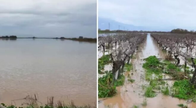 Manisa’da büyük panik! Çay taştı, kritik köprü su altında kaldı