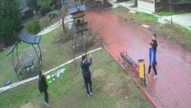Parktaki kuş yuvasını parçalayan çocukların cezası belli oldu