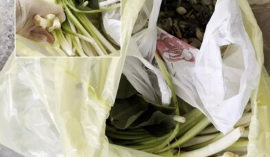 Pazardan aldı, zehir çıktı! Ağzına bir lokma alan doktor fenalaştı