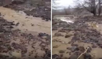 Sağanak yağış tarımı alt üst etti! Binlerce dönüm arazi sular altında