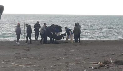 Sahilde kan donduran görüntü! Parçalanmış halde bulundu
