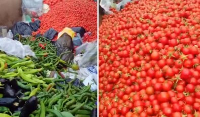 Sapasağlam sebzeleri çöpe attılar