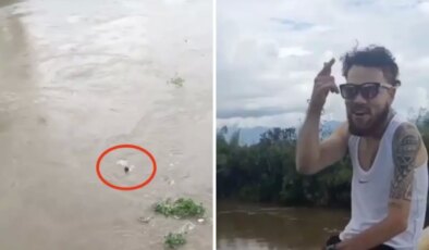 Viral olmak için köprüden atlayan fenomen feci şekilde can verdi