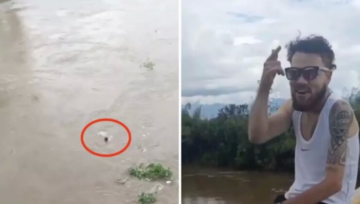 Viral olmak için köprüden atlayan fenomen feci şekilde can verdi