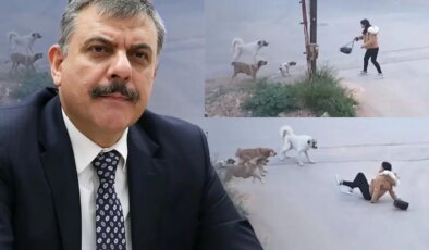 Yeni İçişleri Bakanı Mustafa Çiftçi’nin sokak köpekleri konusunda tavrı net
