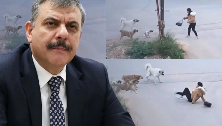 Yeni İçişleri Bakanı Mustafa Çiftçi’nin sokak köpekleri konusunda tavrı net