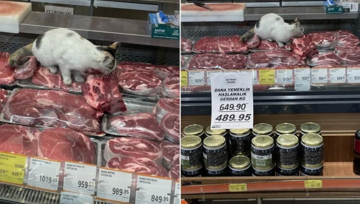 Yine zincir market yine mide bulandıran görüntüler