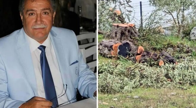 Zeytin ağaçlarını kesen ve görevinden istifa eden Kılbey’e para cezası