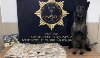 Zeytinyağı tenekelerinden 100 bin uyuşturucu hap çıktı