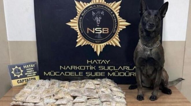 Zeytinyağı tenekelerinden 100 bin uyuşturucu hap çıktı