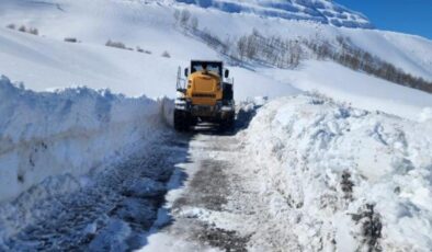 7 ilde yoğun kar sebebiyle 249 yol kapandı