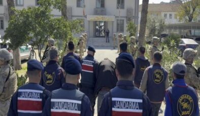 Annesini odunla başına vurup, öldürdü