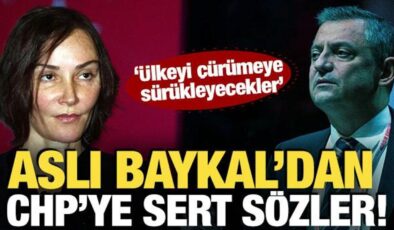 Aslı Baykal’dan CHP’ye sert sözler! ‘Ülkeyi çürümeye sürükleyecekler’