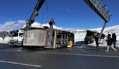 Bitlis’te büyükbaş hayvan yüklü iki tır devrildi! Bazı hayvanlar telef oldu