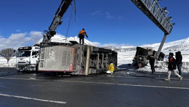 Bitlis’te büyükbaş hayvan yüklü iki tır devrildi! Bazı hayvanlar telef oldu