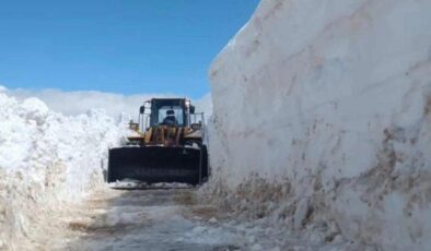 Bitlis’te çığ ve heyelan: Ulaşım aksadı!