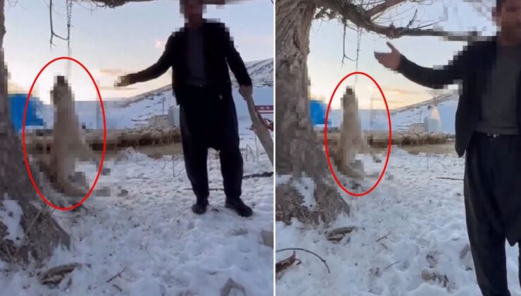 Çok yediğini iddia ettiği köpeğini ağaca asıp öldürdü