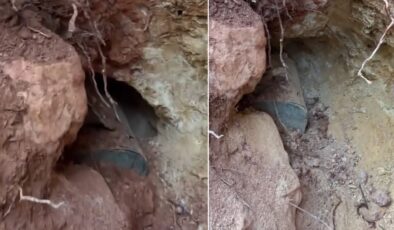 Define kazısı yaptı, çıkanı görünce sevinçten havaya uçtu