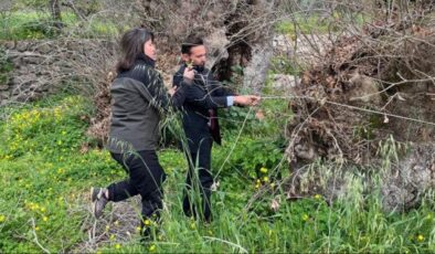 Doğa yürüyüşünde şaşırtan keşif! Yaşı 2 bin yılı, gövdesi 19 metreyi aşıyor