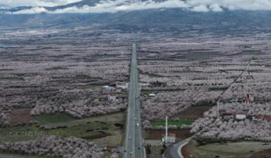 ‘Dünya kayısı başkenti’ Malatya beyaz gelinliğini giydi