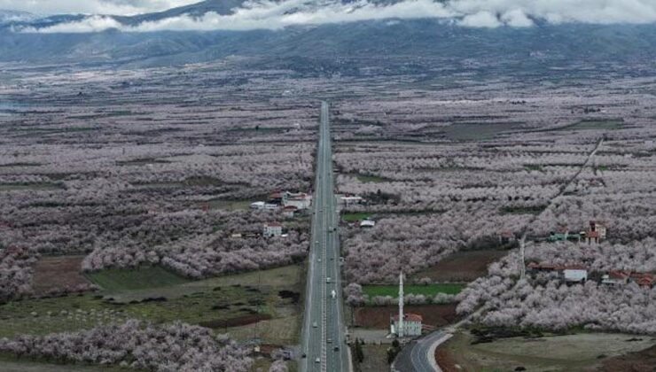 ‘Dünya kayısı başkenti’ Malatya beyaz gelinliğini giydi