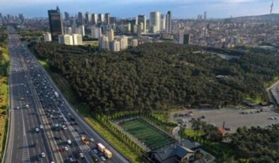 İstanbul’da ‘ısı adası’ etkisi: Kentte iklim değişiyor!