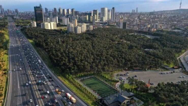 İstanbul’da ‘ısı adası’ etkisi: Kentte iklim değişiyor!