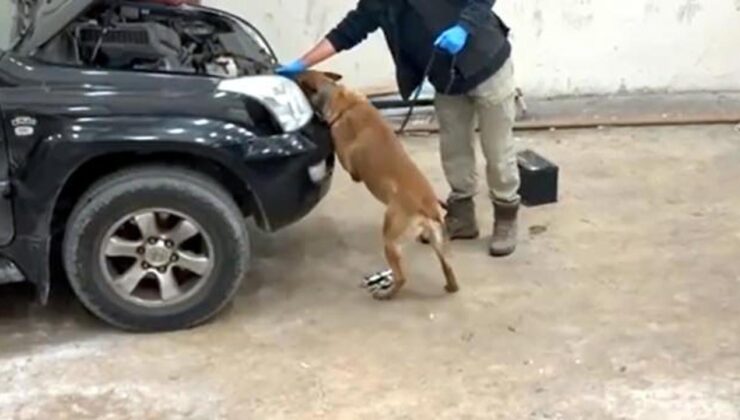 Kapıkule’de otomobilde 8 kilo 60 gram kokain ele geçirildi