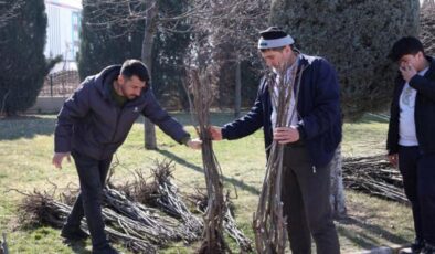 Konya’da 23 bin 500 fidan çiftçiye ulaştırıldı!