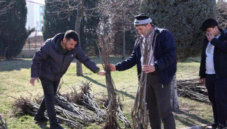 Konya’da 23 bin 500 fidan çiftçiye ulaştırıldı!