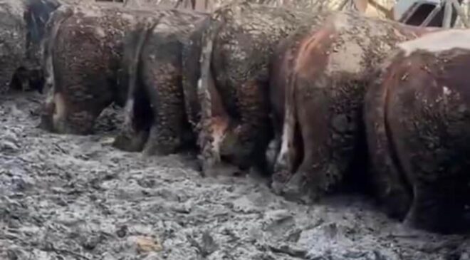 Konya’da sosyal medyada gündem olan görüntü! İnceleme başlatıldı