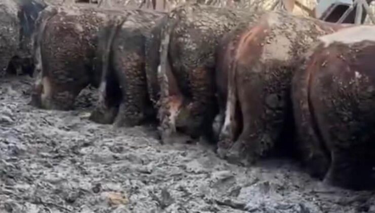 Konya’da sosyal medyada gündem olan görüntü! İnceleme başlatıldı