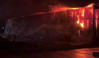 Osmaniye’de karton fabrikasında yangın